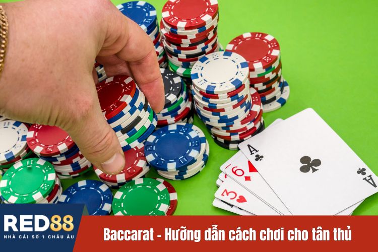 Baccarat - Hưỡng dẫn cách chơi cho tân thủ