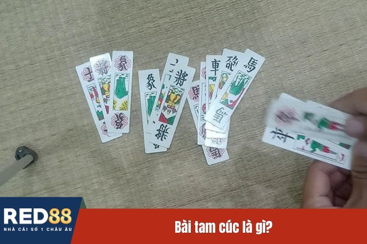 Bài tam cúc là gì?