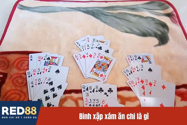 Binh xập xám ăn chi là gì