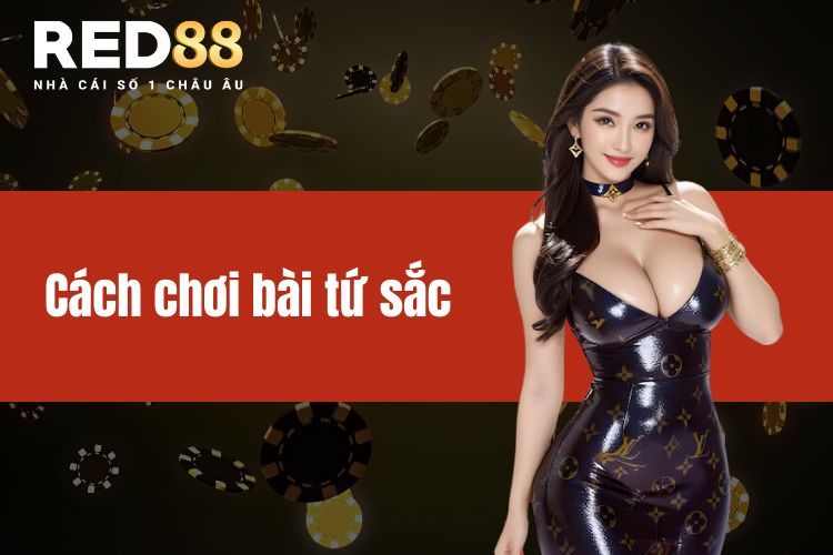 Cách chơi bài tứ sắc và những quy tắc cơ bản trong trò chơi