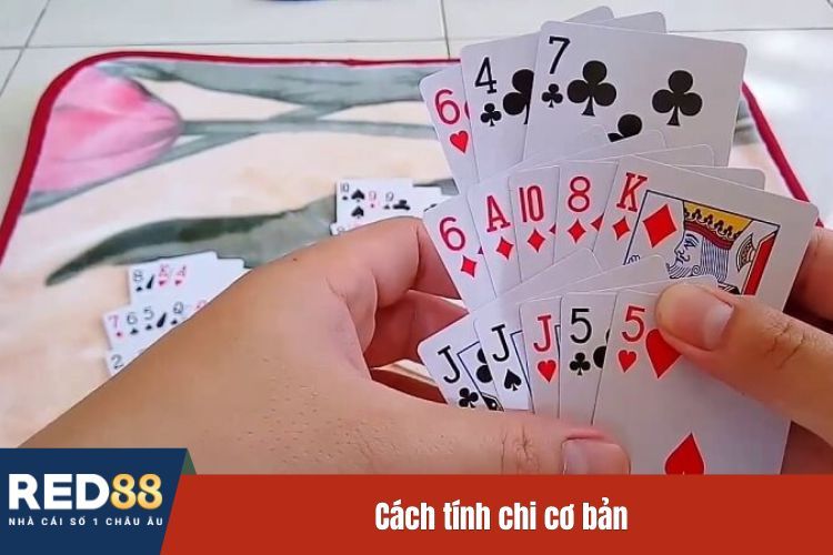 Cách tính chi cơ bản