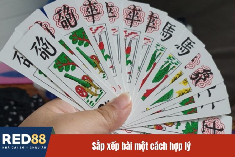 Sắp xếp bài một cách hợp lý