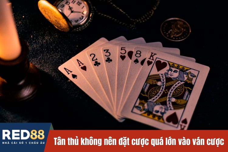 Tân thủ không nên đặt cược quá lớn vào các ván cược